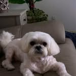 Cheryl Neely Jordan - @butterflycherylgmailcom - Instagram