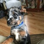 Janice Cheryl Neely - @janicecherylneely - Instagram