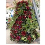 cheryl newcomb - @cheryl_newcomb01 - Instagram