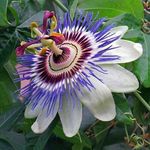 Cheryl Newcomb - @itsmom247 - Instagram