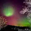 Cheryl Newcombe - @cheryl.newcombe - TikTok