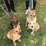 Cheryl Nicholson Walker - @cherylnicholsonwalker - Instagram