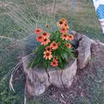 Cheryl Noll - @oclocksomewhere - Instagram