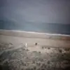 cheryloliver32 - @cheryloliver32 - TikTok