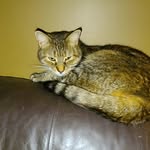 Cheryl Olszewski - @cheryl_olszewski - Instagram