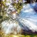 Cheryl Parsons - Facebook