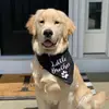 Cheryl Paul - @deltathegoldenboy - TikTok