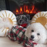 Cheryl Peace - @cherylmalloy8 - Instagram