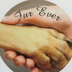Cheryl Pearce - @fur_ever_pet_products - Instagram