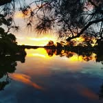 Cheryl Pearce - @cherry61 - Instagram