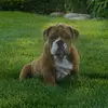 cheryl.pearce_ - @dancingvolleyballmom - TikTok