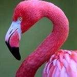Cheryl Pelletier - @sunsand365 - Instagram