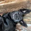 cherylpelletier22 - @cherylpelletier22 - TikTok