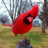 786473 - @cherylpennington06 - TikTok