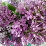 cheryl penn - @cherylpenn_ - Instagram