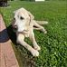 Cheryl Petrone Press - Facebook