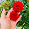 Cheryl pham - @yenha315 - TikTok