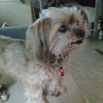 Cheryl Pierce - @cherylpierce931 - Instagram