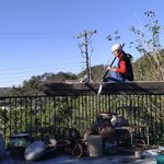 cheryl pierce - @cherylpierce1968 - Instagram