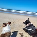 Cheryl Plunkett - @cherylplunkett89 - Instagram