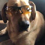Cheryl Pollard - @retlas03 - Instagram