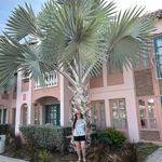 Cheryl Pollard Morse - @cherylpollardmorse - Instagram