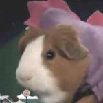 Cheryl Post - @seaurchin1313 - Instagram