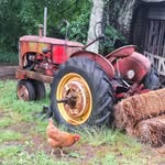 Cheryl Preston - @brookhavenmillfarm - Instagram