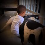 Cheryl Preston - @cheryl.preston.9889 - Instagram