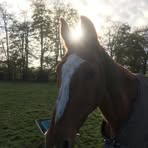 Cheryl Pugh - Facebook