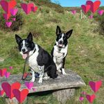 Cheryl Pugh - @cherpugh1 - Instagram