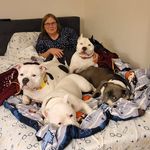 Cheryl Huesgen-Purdy - @purdy716 - Instagram