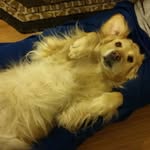Cheryl Rabe - @realrabe2 - Instagram