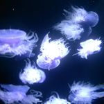 Cheryl Grundstrom Rafferty - @cheryl.rafferty12 - Instagram