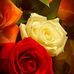 Cheryl Rainey - Facebook