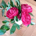 Cheryl Rainey - @cherylrainey4202 - Instagram