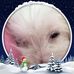 Cheryl Rand - Facebook