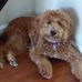 Sheryl Rand - Facebook