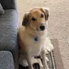 cherylreaderbento - @cherylreaderbento - TikTok