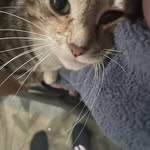 cheryl redding - @coolcheryl534 - Instagram