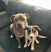 Cheryl Reece - Facebook