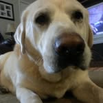 Cheryl Reece - @cheryl.reece.543 - Instagram