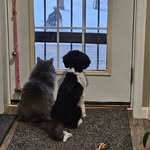 Cheryl Reece - @creecie - Instagram