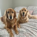Cheryl Shenberger Rettig - @cherylrettig - Instagram