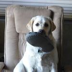 Cheryl Riddle - @cheryl.riddle.75 - Instagram