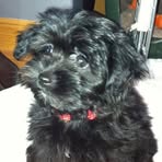 Cheryll Riggins - Facebook