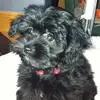 cheryllriggins - @cheryllriggins - TikTok