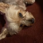 Cheryl Rigsby - Facebook