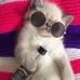 Cheryl Rivers - Facebook