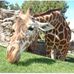 Cheryl Rohde - Facebook